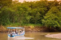 Palo Verde Wildlife Tour from Playa Hermosa-Coco Beach