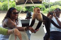 Palo Verde Wildlife Tour from Playa Hermosa-Coco Beach
