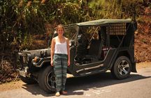 Half Day My Son Holy Land by Jeep from Hoi An