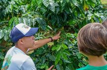 Costa Rican Coffee and Chocolate Crafting Experience: North Fields Cafe