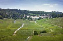 Champagne Region Private Day Trip from Paris