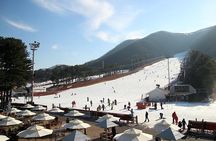 Korea Ski Tour from Seoul - Jisan Forest Resort
