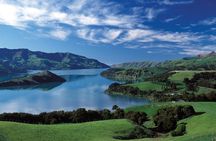 Akaroa Full Day Tour Including Harbor Nature Cruise from Christchurch