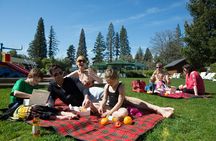 Hanmer Springs Private Day Tour Including Hot Pool & Wine Tasting