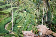 Water Rafting adventure with Jungle Swing & rice terraces
