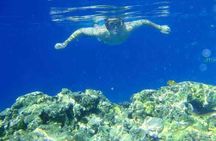 Experience Snorkeling Tour at Utopia Island