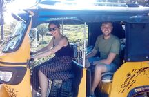 Tuk Tuk safari and Picnic in The Tea Plantation from Ella,Haputale & Bandarawela