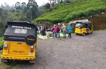 Tuk Tuk safari and Picnic in The Tea Plantation from Ella,Haputale & Bandarawela