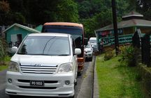 St Lucia Castries to Pitons Tour