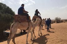 Small Sahara Desert Tour With lunch - Full DAY