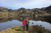 Private Cajas National Park Tour through Cloud Forest and Moorlands 