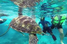 Similan Islands Full-Day Tour from Phuket with Lunch (SHA Plus)