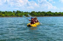 Albania Birdwatching, Kayaking, Bicycle National Park Divjaka Karavasta(ARG)