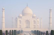Private Taj Mahal and Agra Fort Day Tour from Delhi