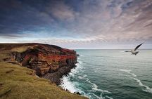 Reykjanes Peninsula + Lava fields