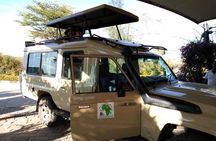 Nairobi orphanage half day tour