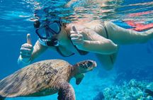 Makena Turtle Town Eco Adventure in Maui