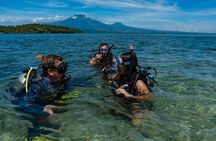 PADI Open Water Course in Menjangan