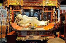Private Shanghai Airport Layover Tour with Flexible Highlights 