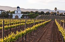Valle de Guadalupe Winery and Vineyard Tour from San Diego