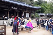 Everland Theme Park & Korean Folk Village tour (private group)