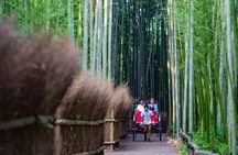 Kyoto Arashiyama Rickshaw Tour with Bamboo Forest