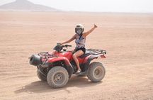 Quad Bike in Sharm El Sheikh Desert