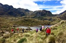 Ultimate Cajas National Park Full-Day Adventure with Local Expert