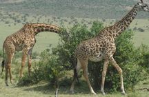 Crescent Island Day Tour From Nairobi