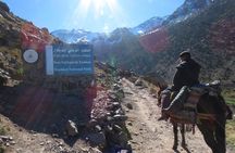 From Marrakech hiking day trip in Imlil Valley and kasbah Toubkal
