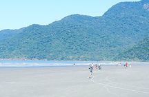 Santos Shore Excursion: Full Day City Tour and GRU Airport Transfer