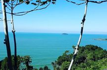 Santos Shore Excursion: Full Day Rain Forest Indian Reservation 