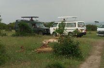 Hiking Tour: Mt Longonot Day tour