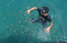 Koh Maa & Koh Ngai Full-Day Tour by Longtail Boat