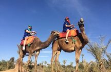 Agafay Desert Experience Camel Trek, Quad Ride & Dinner Show