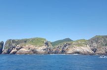 Day Trip Arraial do Cabo from Rio de Janeiro