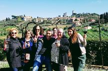 Private Tuscany Day Tour: San Gimignano and Chianti Wine Region from Florence