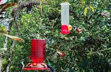 Private Excursion Middle of the World & Hummingbirds Alambi
