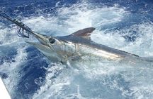 Private Fishing in St Lucia Charters