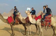 Private sightseeing Tour: Giza Pyramids & Memphis & Saqqara & camel ride