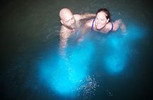 Luminous Lagoon Small Group Tour from Ocho Rios