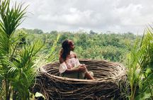 The most attractive places of Northern Bali