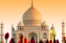 Taj Mahal visit from Delhi (Same Day 12 to 14 Hours)