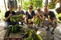 Private Tour: Ipoh Secrets Taiping Heritage & Orang Utan Island