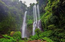 Bali Best Waterfalls Tour : Sekumpul and Banyumala