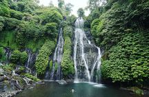 Bali Best Waterfalls Tour : Sekumpul and Banyumala