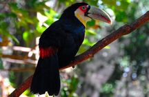 Private Full-Day Tour to Iguazu Falls National Park 