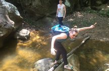 The Jaguar´s Footprint: Hike and Music Day Trip from Cartagena