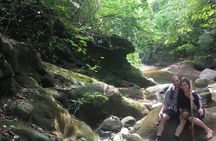 The Jaguar´s Footprint: Hike and Music Day Trip from Cartagena