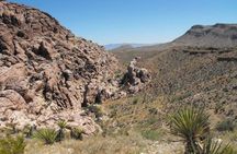 Guided Mountain Bike Tour of Mustang Trail in Red Rock Canyon